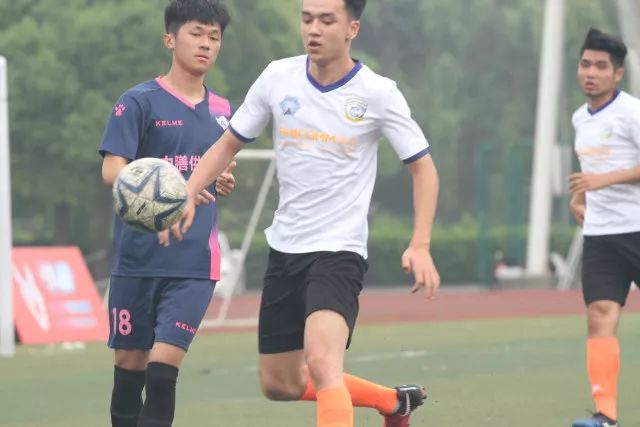 龙八头号玩家下载